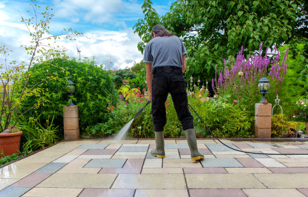Best Sidewalk and Walkway Pressure Cleaning in North Wilkesboro, NC